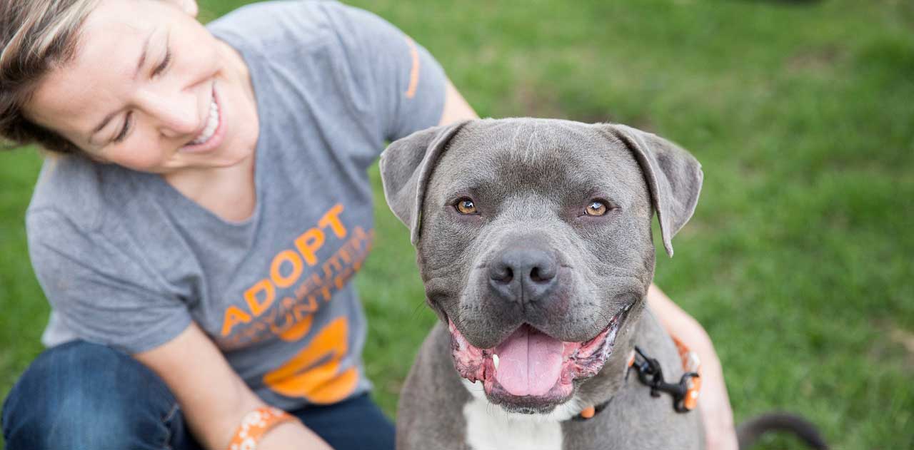 Why Do Dogs Protect Their Homes